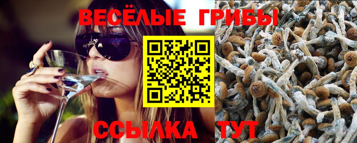 Галлюциногенные грибы ЛСД  Вход с VPN  Будённовск  Псилоцибиновые грибы MAGIC MUSHROOMS 