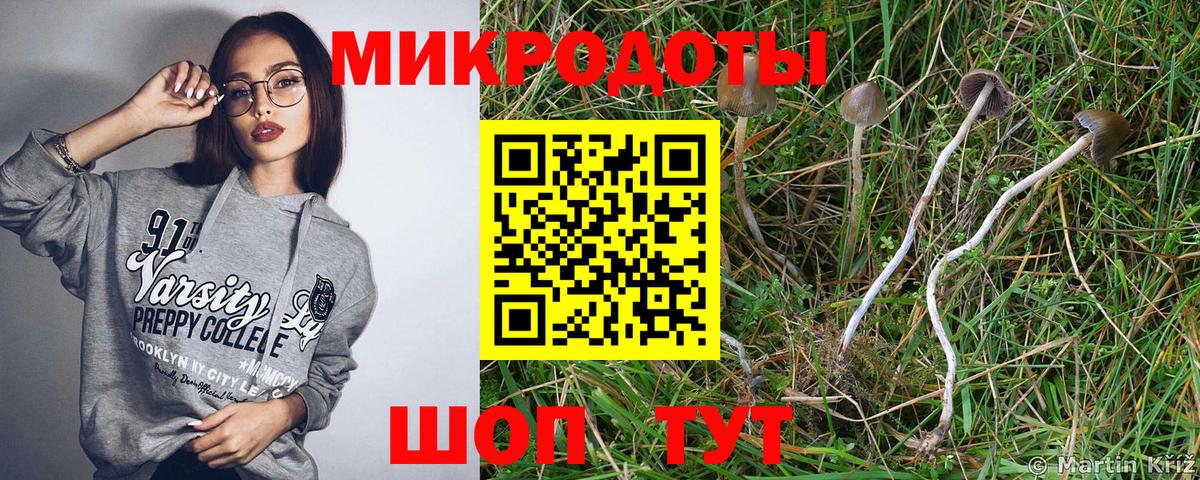 Псилоцибиновые грибы прущие грибы Будённовск